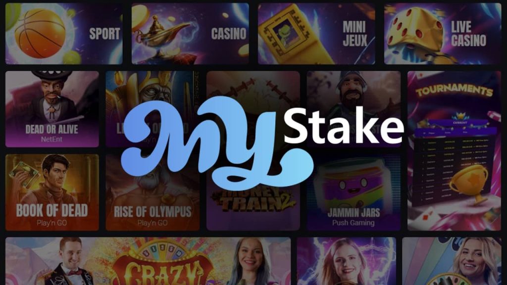 my stake bet casino